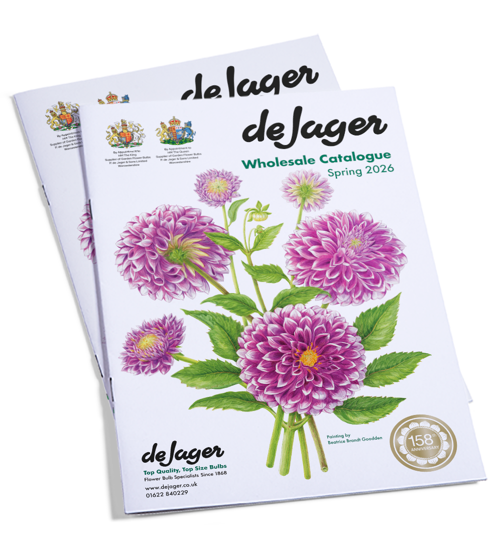 Spring 2026 Wholesale Catalogue Covers